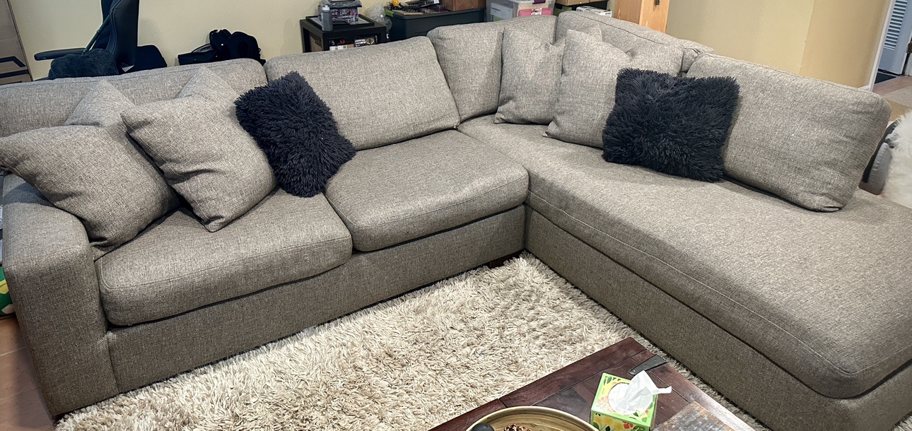 Sectional Sofa ZGallery