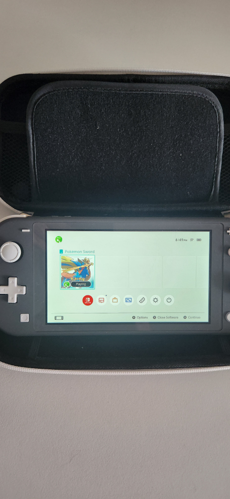 Nintendo Switch Lite Grey with case - photo 4