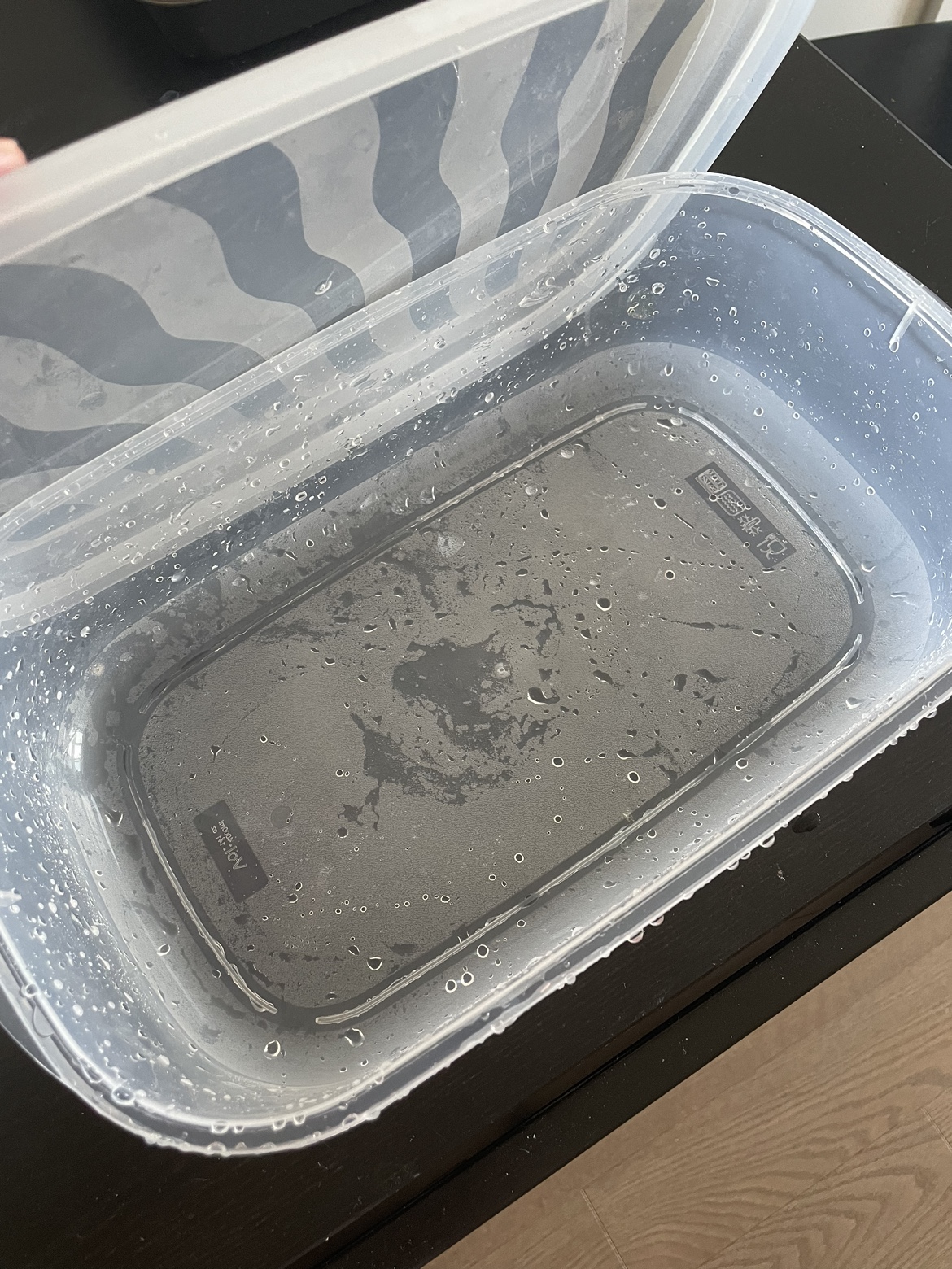 Large Plastic Storage Container thumbnail