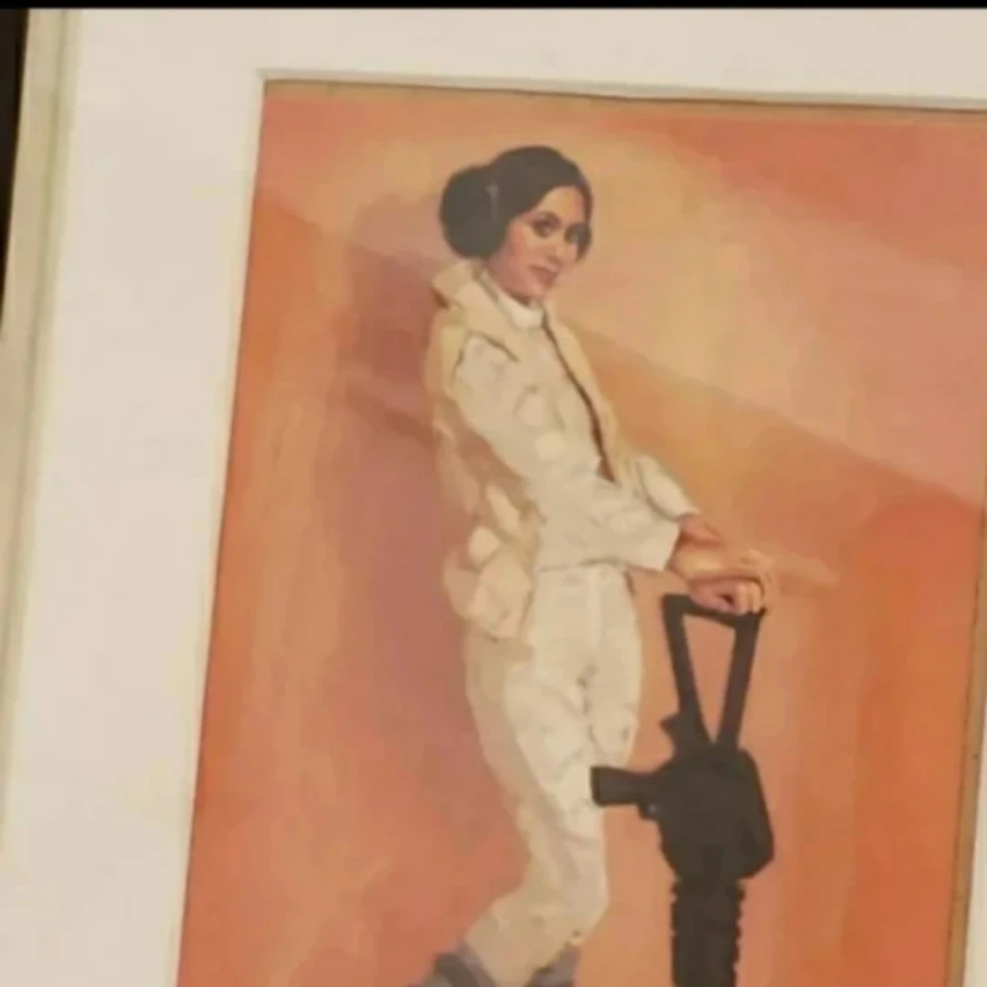 Nerdy Pin Up Characters (1950's, Batman, Star Wars) image indicator(4)