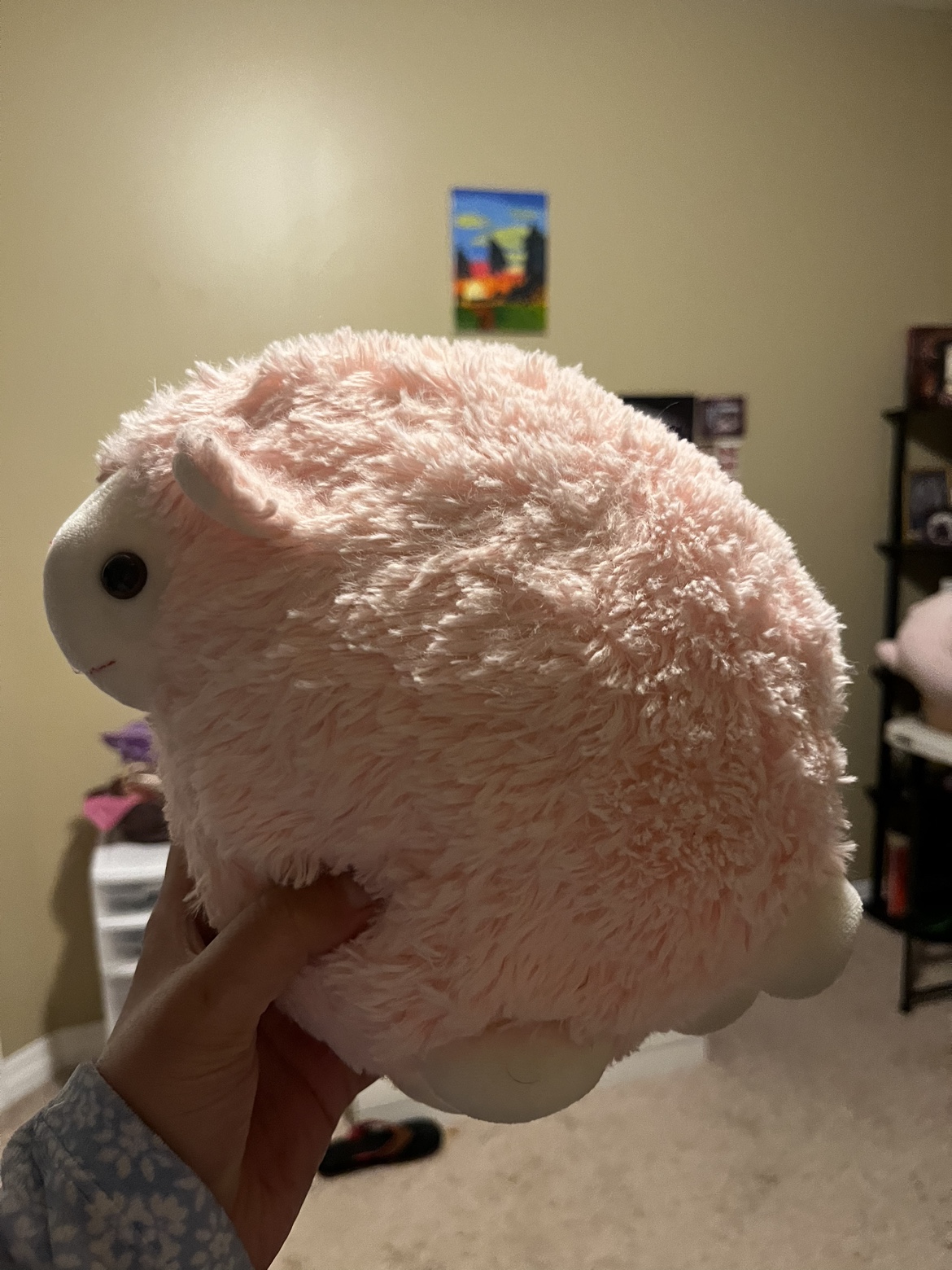 Soft toys #freecycle - photo 4