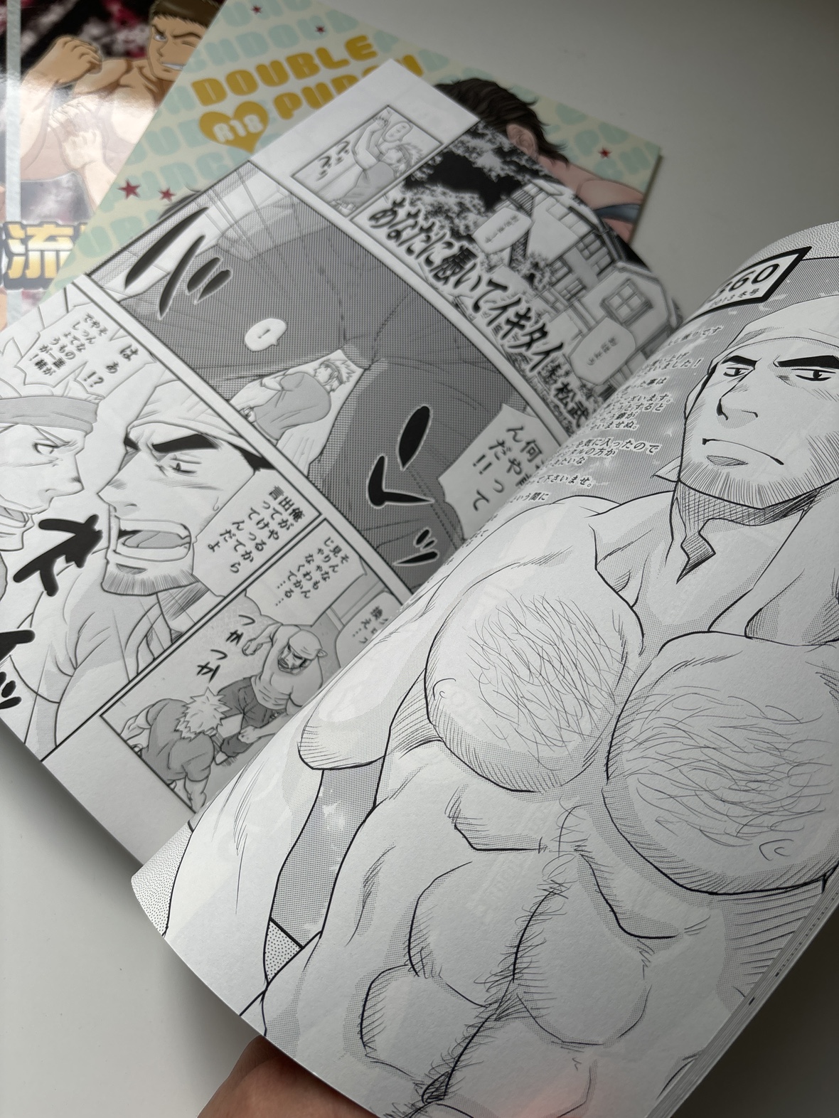 Doujinshi Manga Bundle - photo 2
