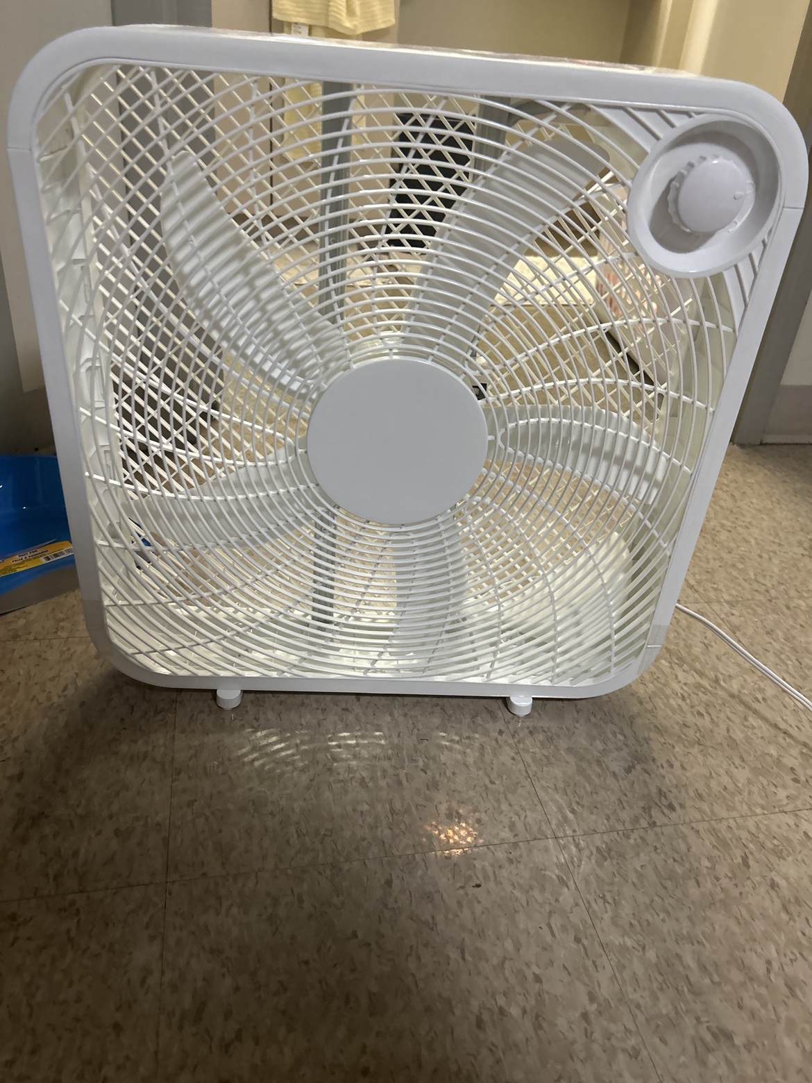 Fan