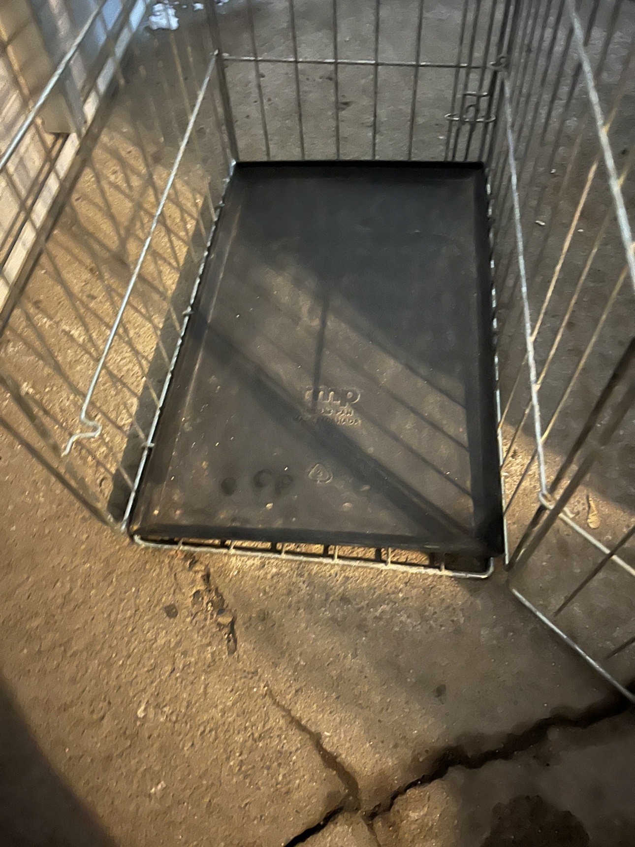 Dog Crate image indicator(4)