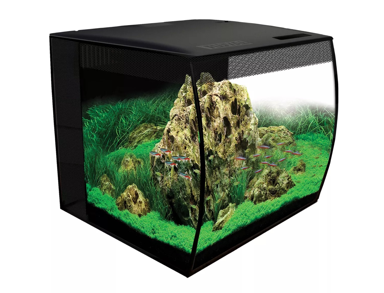 🐠🩵 Fluval Flex 15 Aquarium & Fluval stand 🩵🐠 image indicator(2)