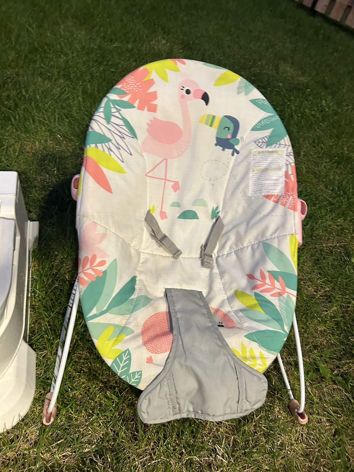 Baby Bouncer and Potty image indicator(3)