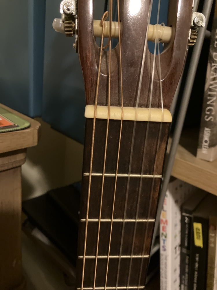 Motion TC-901 Guitar image indicator(2)