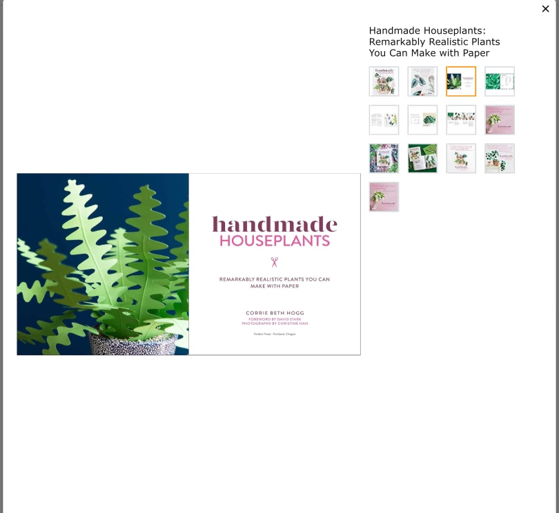 Handmade Houseplants Book image indicator(5)