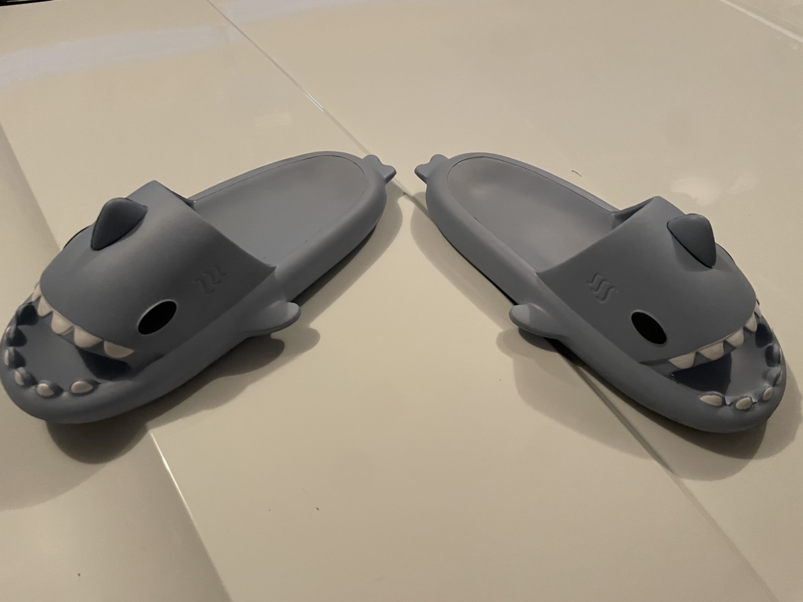 Shark slides - photo 2