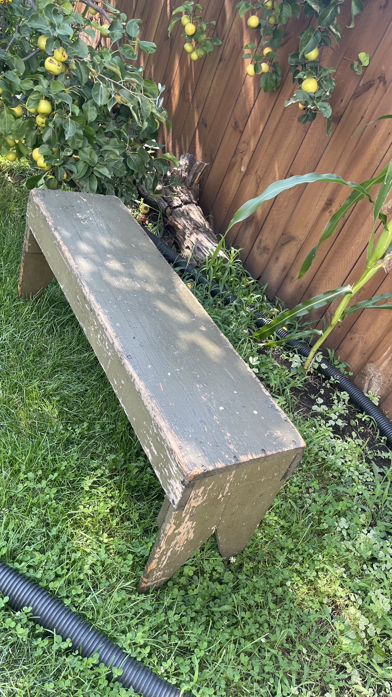 Vintage wooden bench