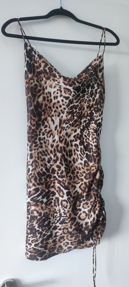 Leopard Print  Dress "TopShop" image indicator(3)