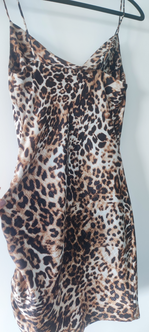 Leopard Print  Dress "TopShop" image indicator(6)