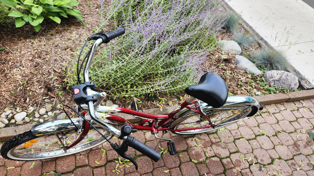 Supercycle Cruiser 26" Bike (6 speeds). - photo 3