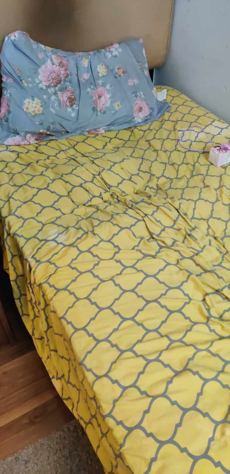 Twin Mattress + Twin Metal Bedframe thumbnail