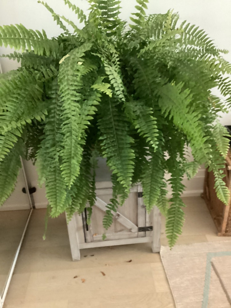 Side table image indicator(3)