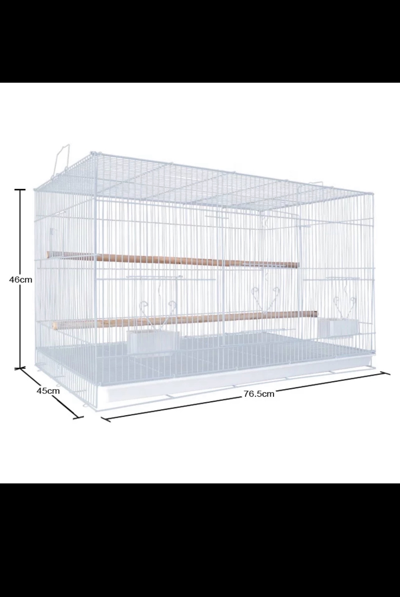 Birds Cage