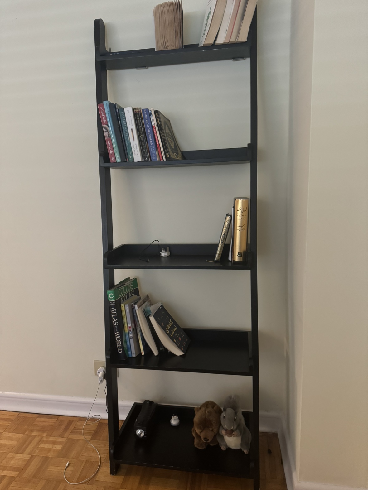 Black book shelf