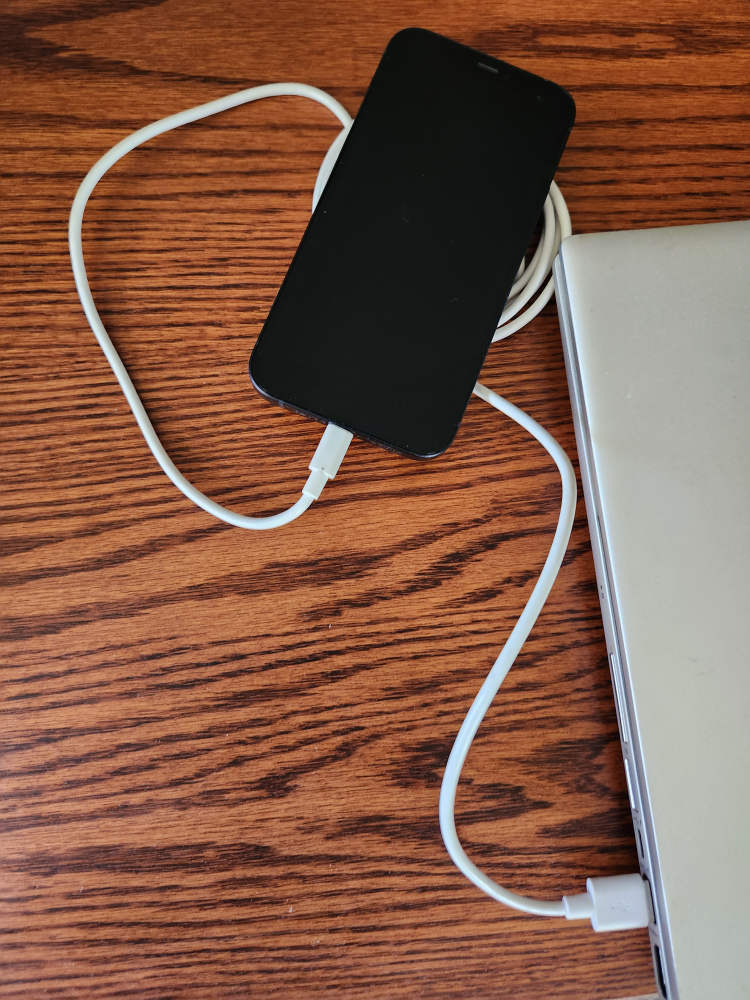 iPhone 12 image indicator(8)