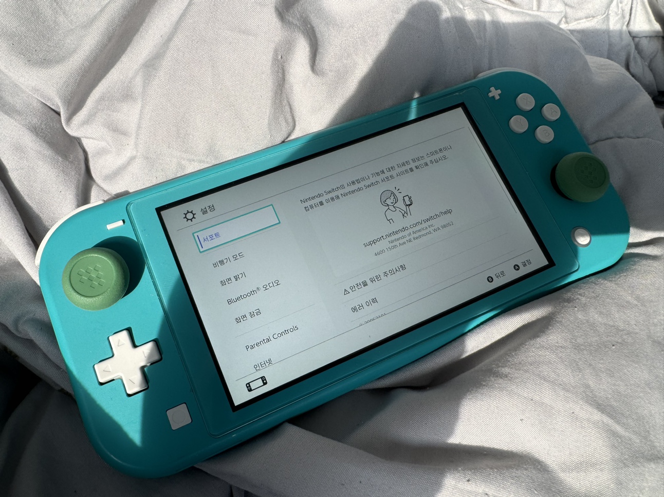 Nintendo Switch Lite
