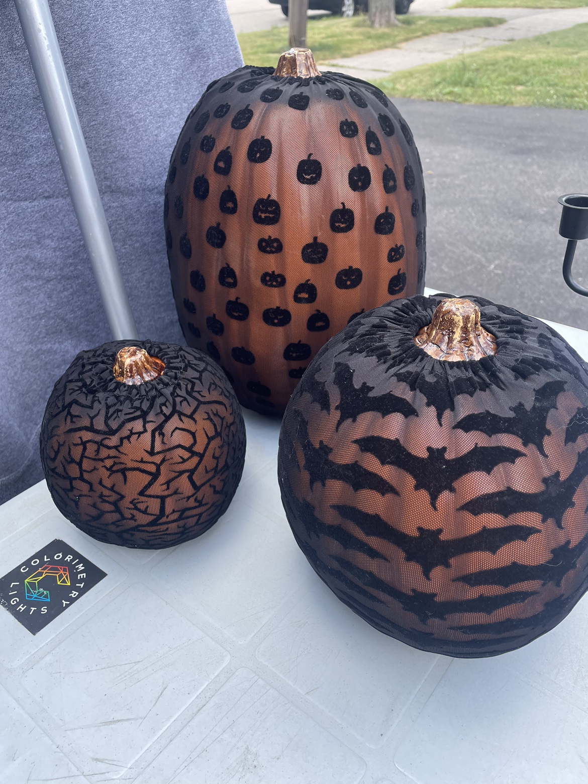 Thanksgiving / Fall decor
