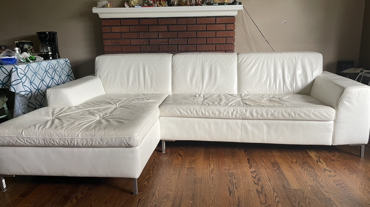 Love Seat and Sectional Sofa