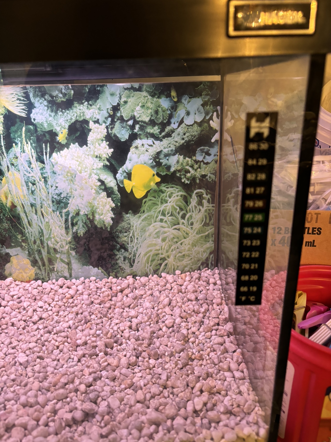 Hartz 20 gallon Fish tank image indicator(9)