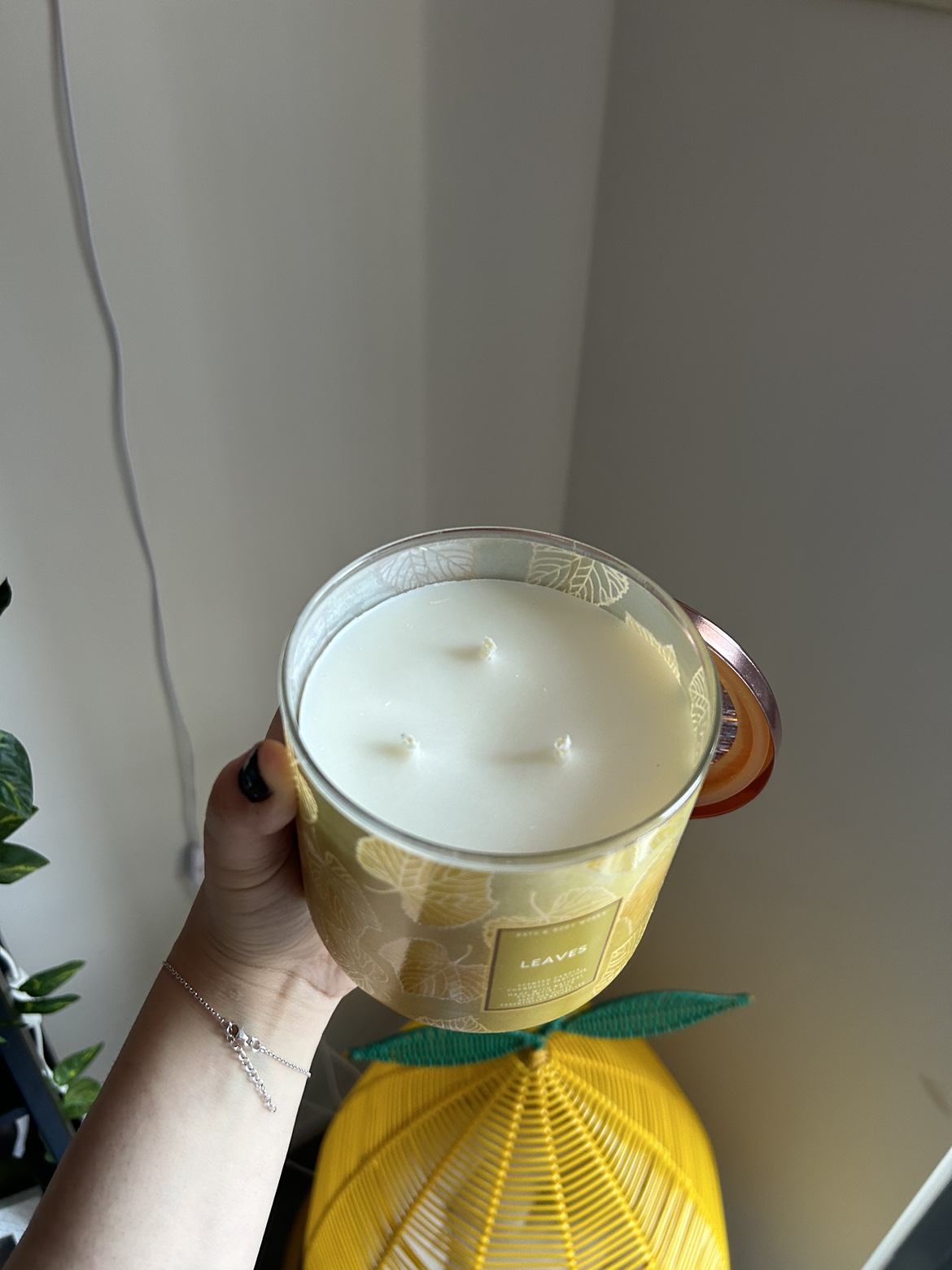 Assorted Candles image indicator(5)