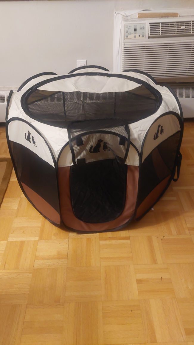 small dog starter kit
