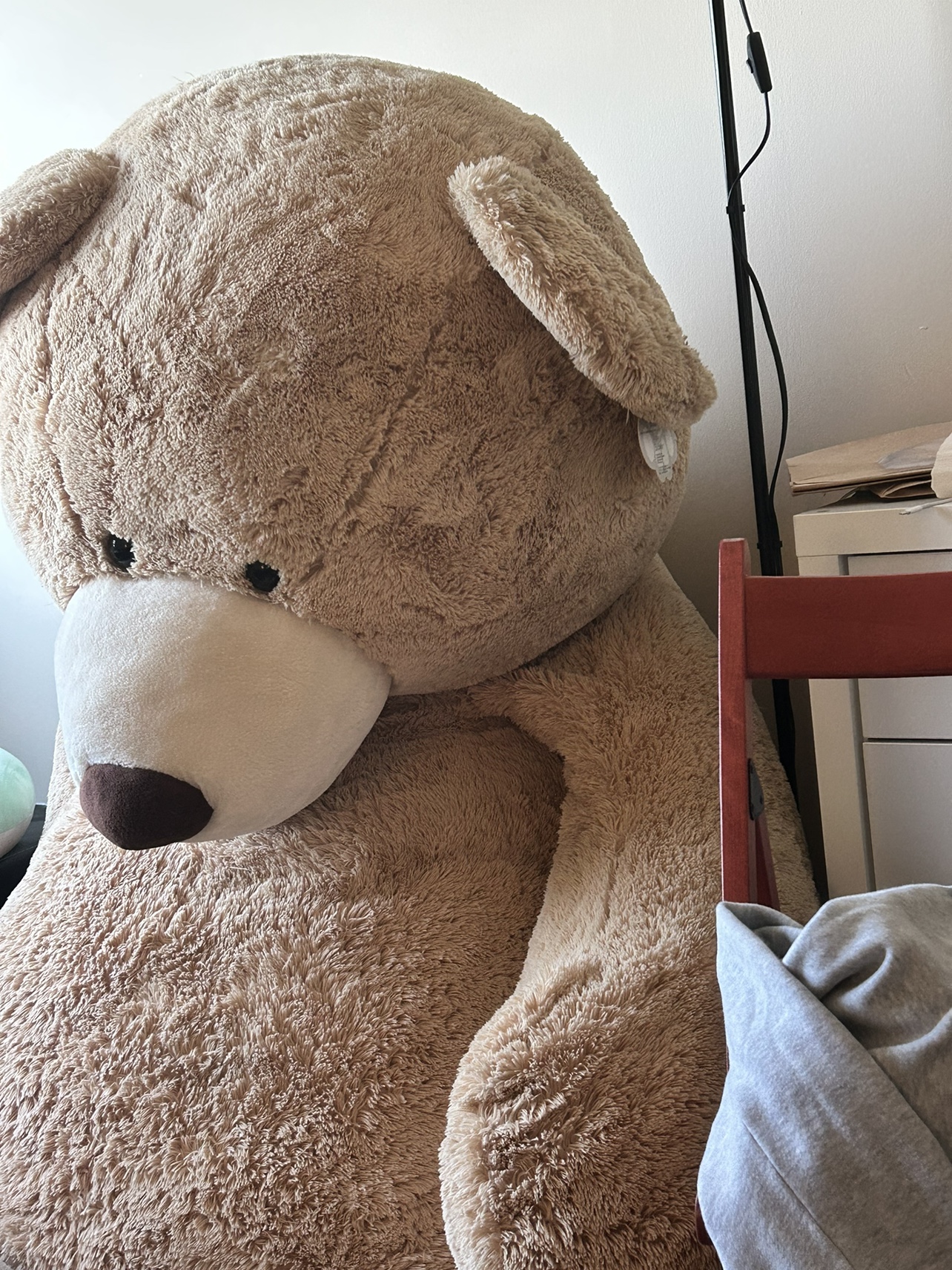 Costco Giant Bear
