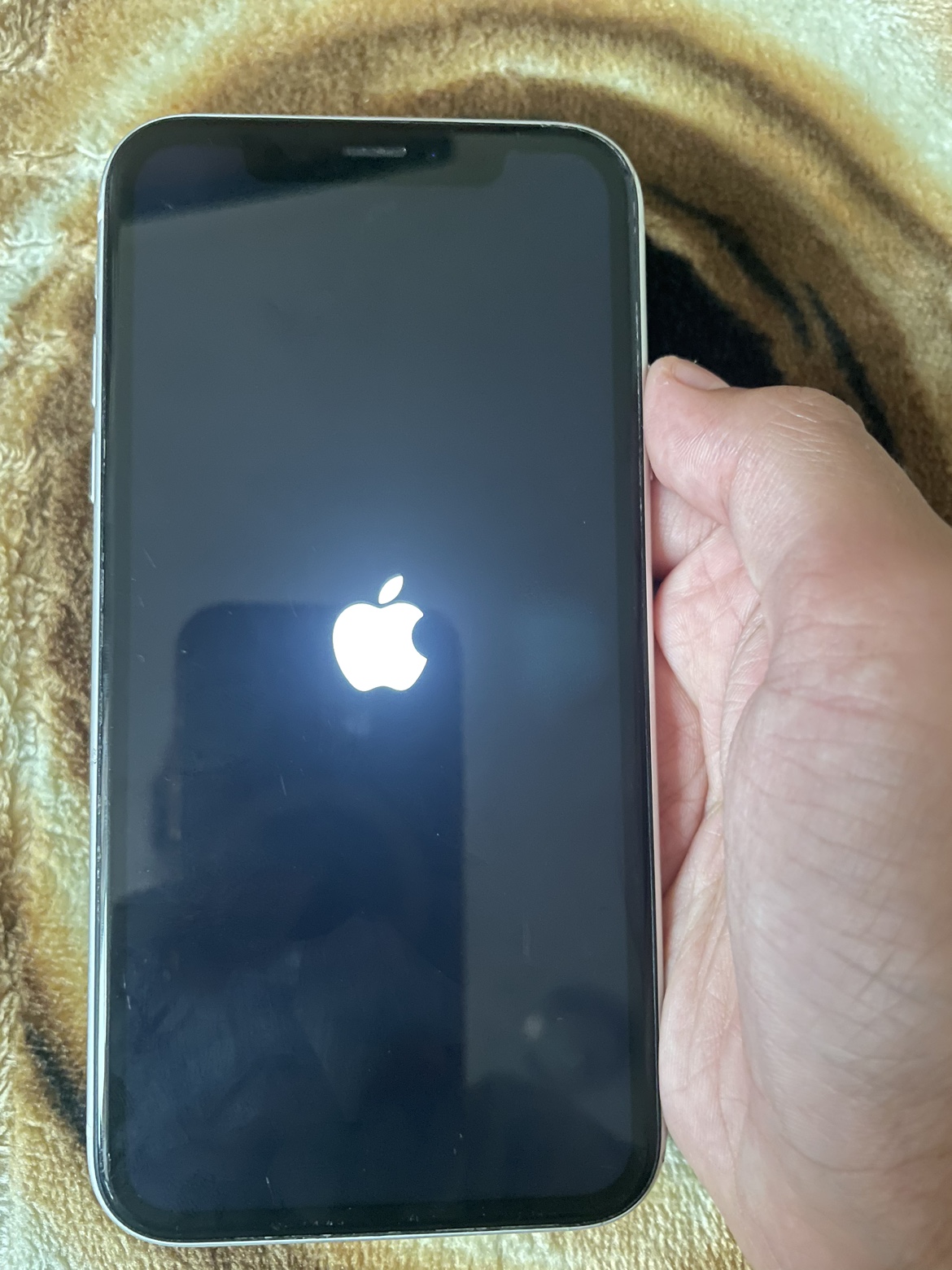 iPhone XR - photo 2