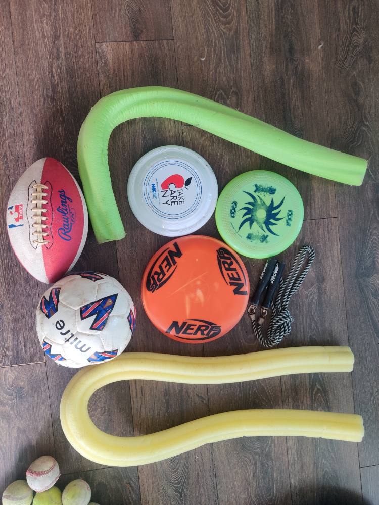 Miscellaneous Sports Balls