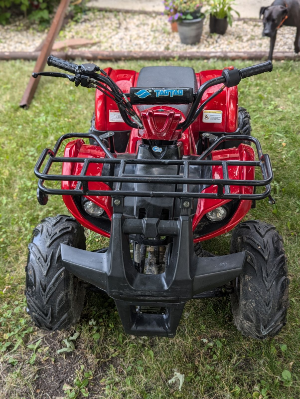 Tao Tao china quad 125cc - photo 2
