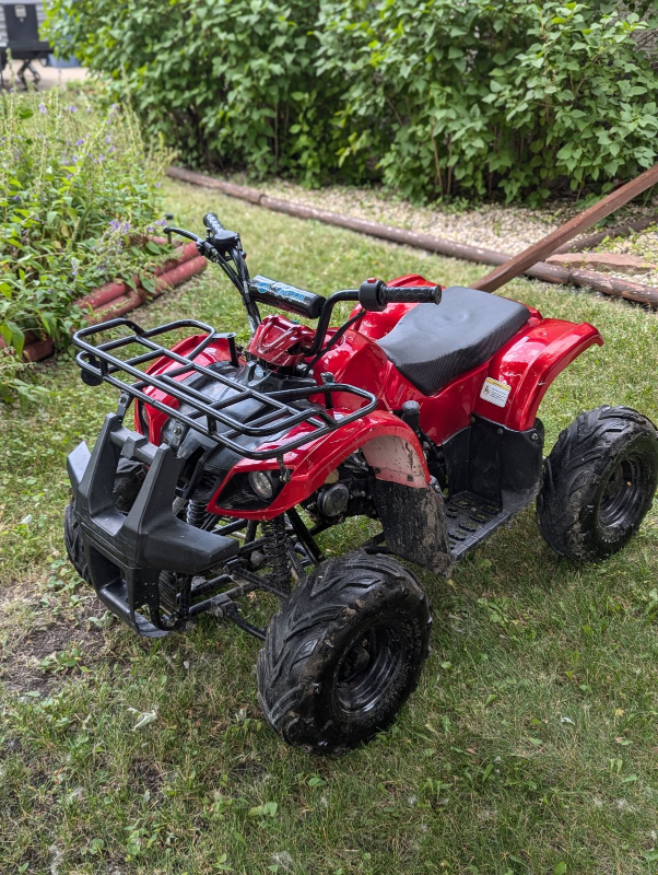 Tao Tao china quad 125cc - photo 3