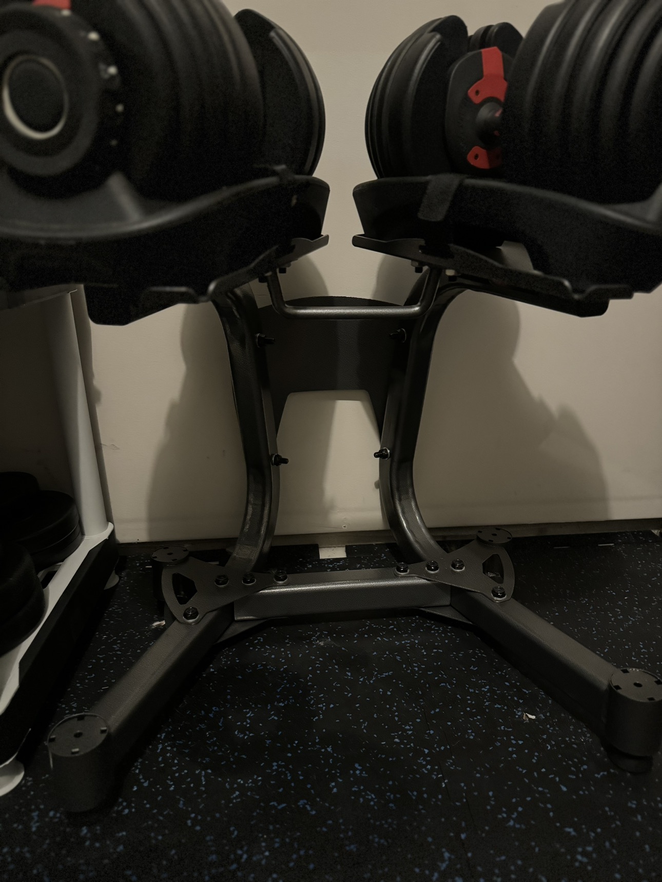 Adjustable Dumbbells with Stand - photo 3