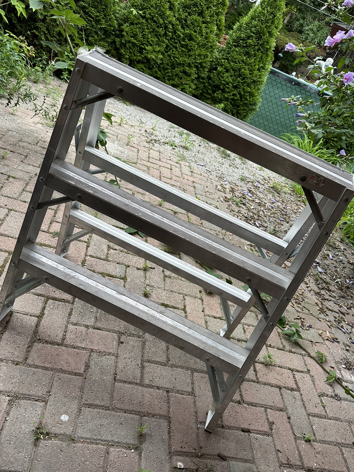 Ladder