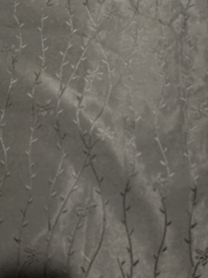 Black Curtain - photo 3