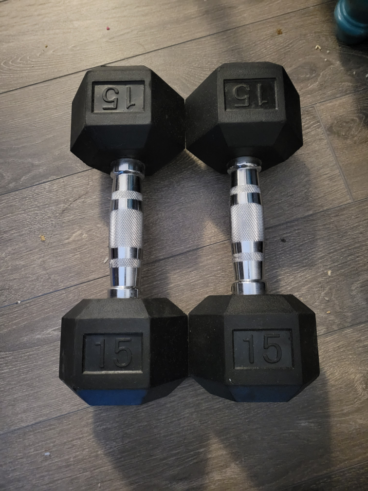 15 lb Dumbbells (Pair)