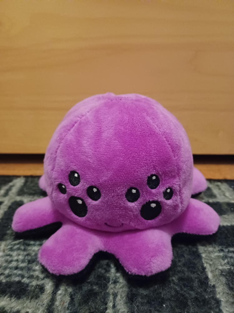 Plush Toy Bundle image indicator(5)