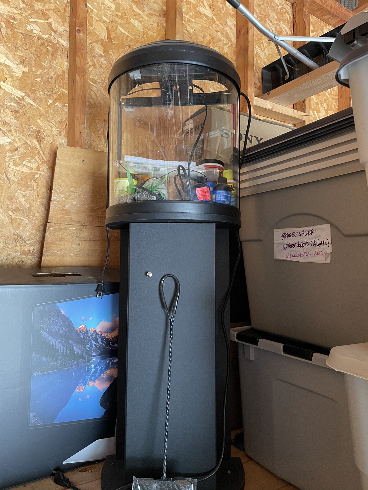 Used 10 gallon fish tank-dropped price