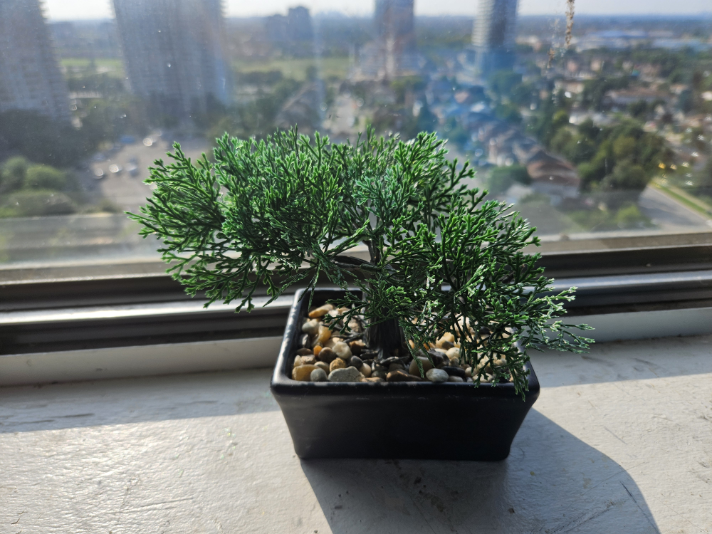 Artificial Bonsai Tree thumbnail
