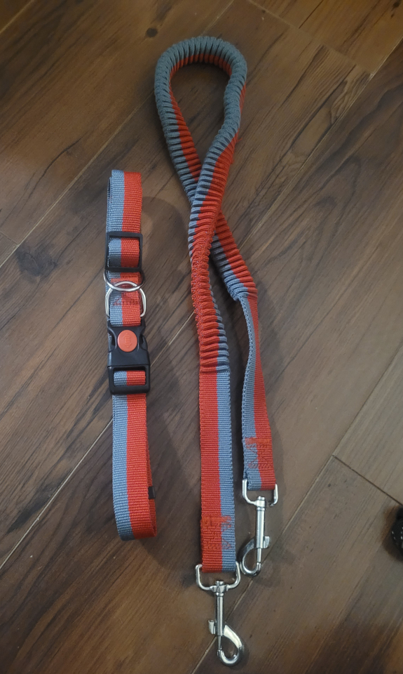 assorted Dog Harness and Leashes - photo 4