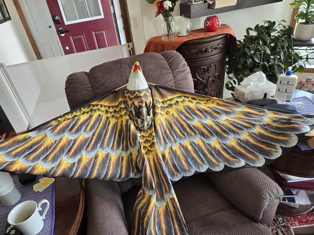 Eagle Wings kite