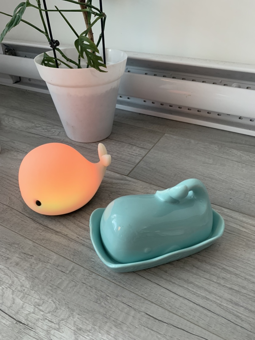 Free whale night light & whale butter dish