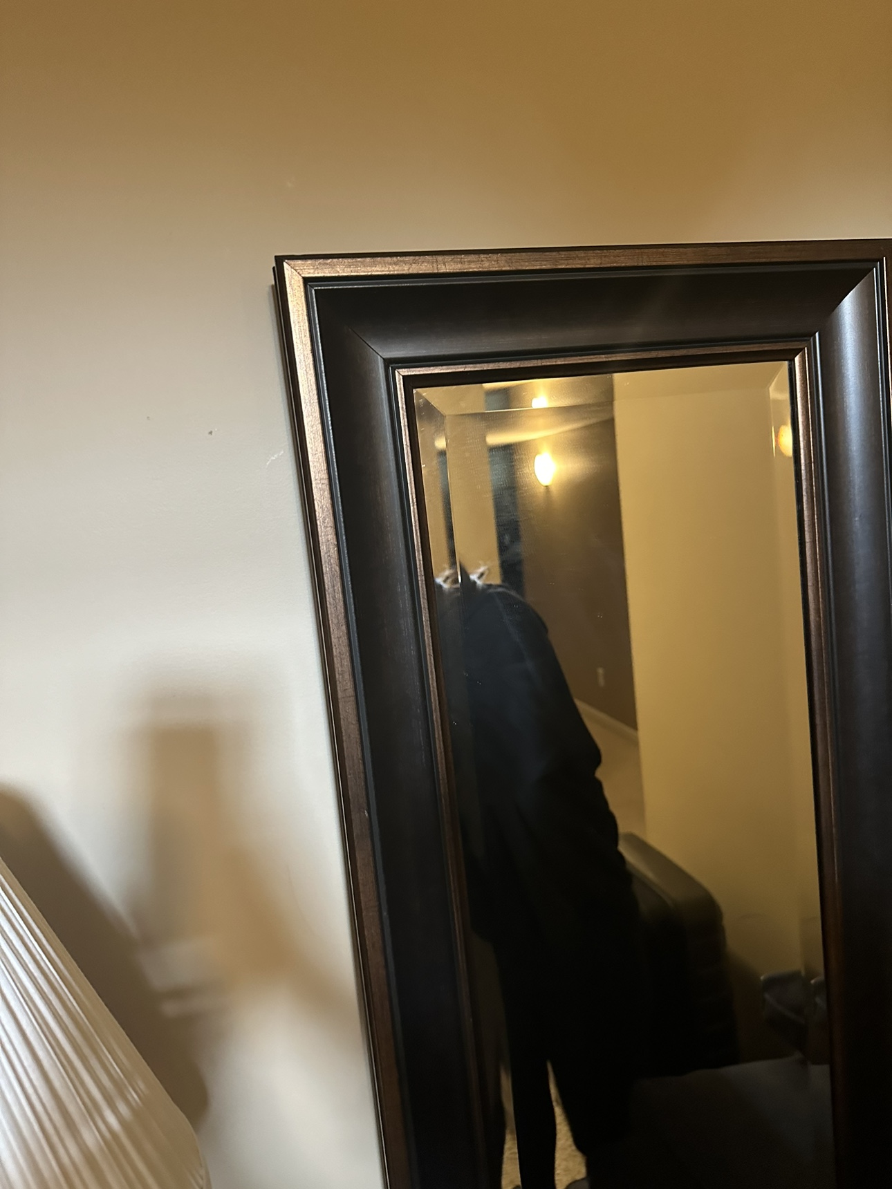 Beautiful mirror image indicator(4)