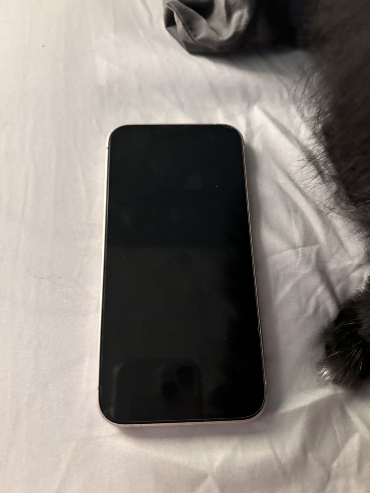 Pink iPhone 13 - 256 gb - photo 2