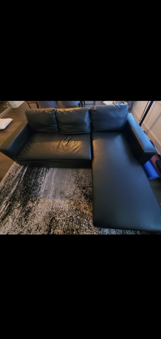 🔥 Sofa w/ Storage & Pull - Out Bed image indicator(3)