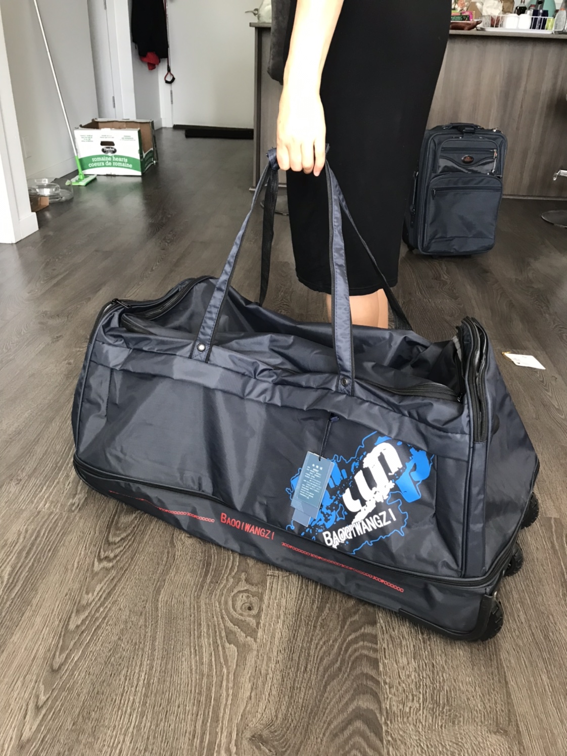 Rolling Luggage Bag