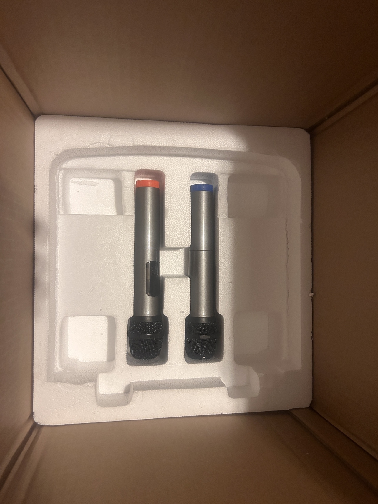 Portable Bluetooth PA Speaker with 2 Microphones - photo 2