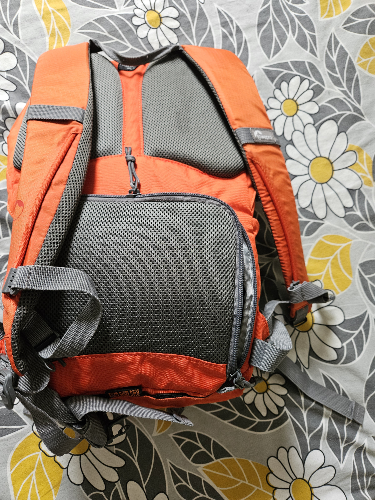 Lowepro Photo Hatchback 16L AW Backpack - Pepper Red image indicator(3)