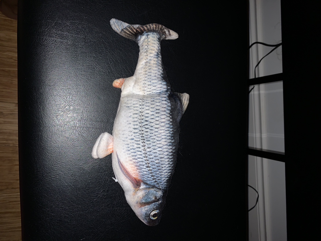 Cat toys image indicator(3)